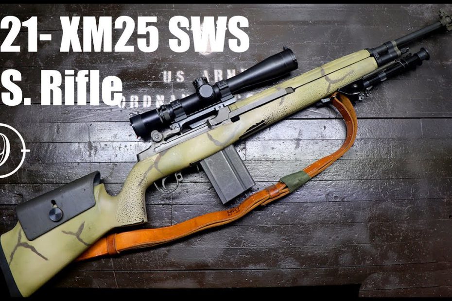 M21 (M14/M1a sniper) Review with IMI Razor Core 168 gr 7.62 match (Milsurp)