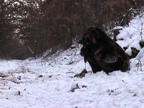 Utánkeresők Baráti Köre: Hajsza gyakorlása műdisznóval