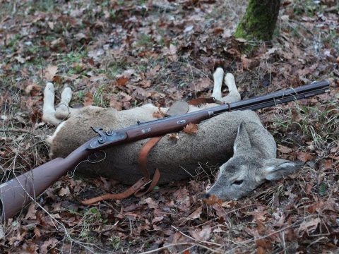 Roe deer hunting with muzzleloader rifle