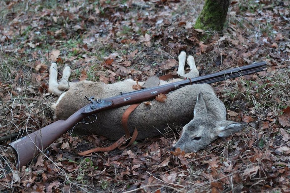 Roe deer hunting with muzzleloader rifle