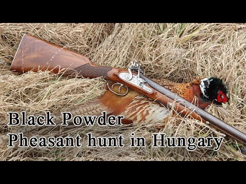 Black powder flintlock pheasant hunting in Hungary