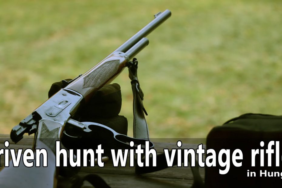 Vintage rifle driven hunt in Hungary