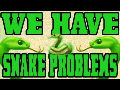 We Have Snake Problems!