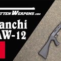 Franchi LAW12 – Like the SPAS-12, but Semiauto Only