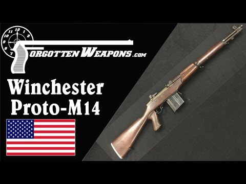 Winchester Proto-M14 Rifle