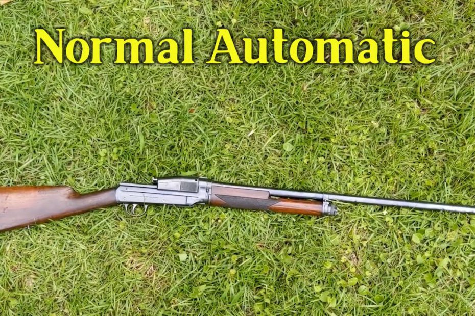 Takedown: Normal Automatic Shotgun (System Sjögren)