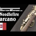 Italy Modernizes: the Carcano Needlefire Rifle Conversion