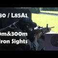 SA80 / L85A1 5.56mm / .223: iron sights at 100 and 300m. Includes comparison with M16A1 and SUSAT.
