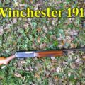 Takedown: Winchester Model 1911