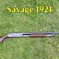 Takedown: Savage 1921