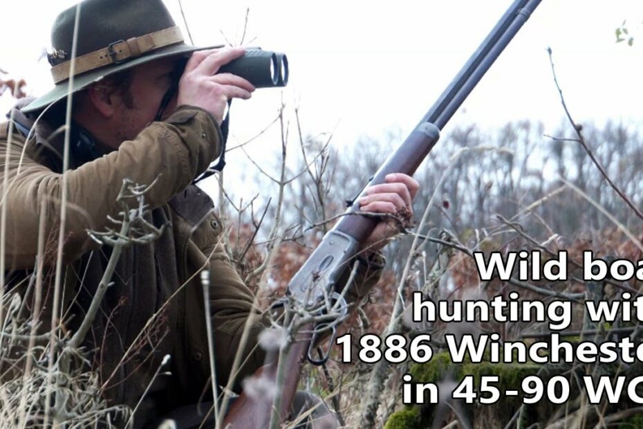Wild boar hunting with an original 1886 Winchester 45-90 WCF rifle