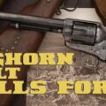 Little Bighorn Colt Draws BIG Bids at Auction!