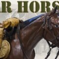 Why You Need a War Horse Mannequin