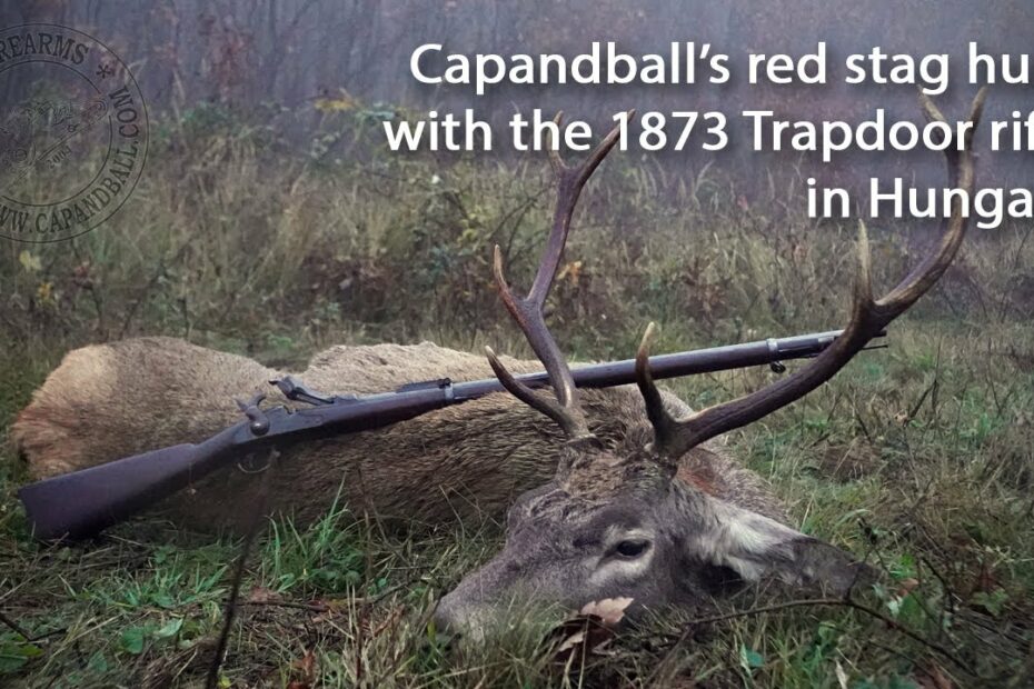 Hunting red stag with an original M 1873 Springfield Trapdoor rifle