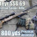 Steyr SSG-69 (?? Austrian polymer wonder sniper from 1969) to 800yds: Practical Accuracy