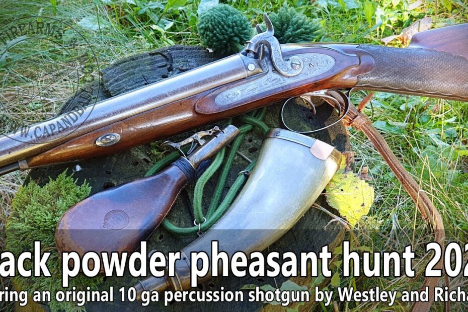 Pheasant hunting with an original 10ga Westley Richards percussion shotgun