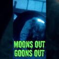 Moons Out Goons Out 2024 Night Rifle Match