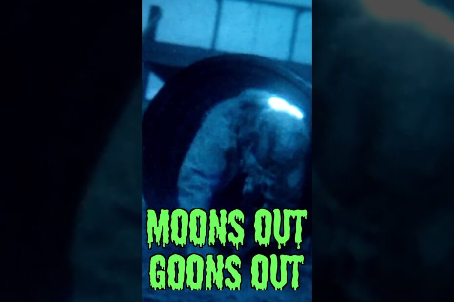 Moons Out Goons Out 2024 Night Rifle Match