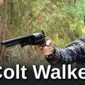 Minute of Mae: Colt Walker