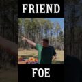 Friend or Foe: The Gyro Pigeon