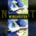 Winchester 1887 Lever Action Shotgun
