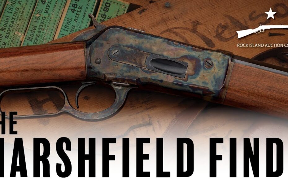 Discovered After 90 Years | The Marshfield Find