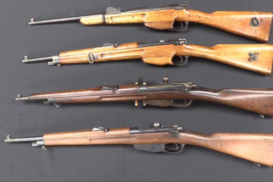 (A Few of) The Many Faces of the Dutch M95 Carbine