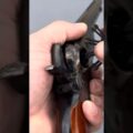 1851 Navy Revolver Up Close!