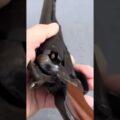1861 Navy Revolver Up Close!