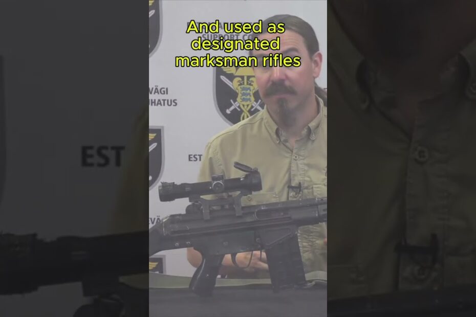 AK4 TP: Estonia’s Modernized G3 DMR / Sniper