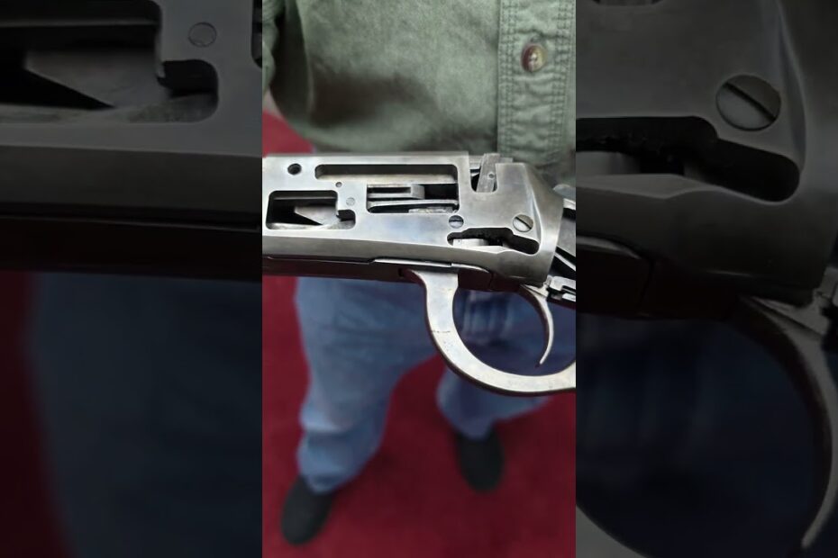 Look Inside a Mare’s Leg