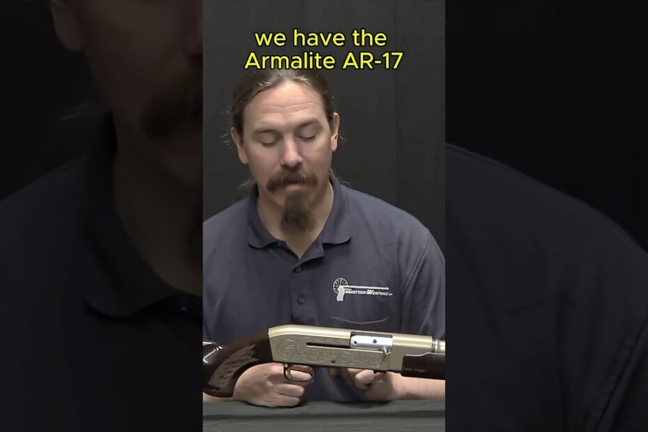 Armalite AR-17: A Shotgun from the World of Tomorrow!