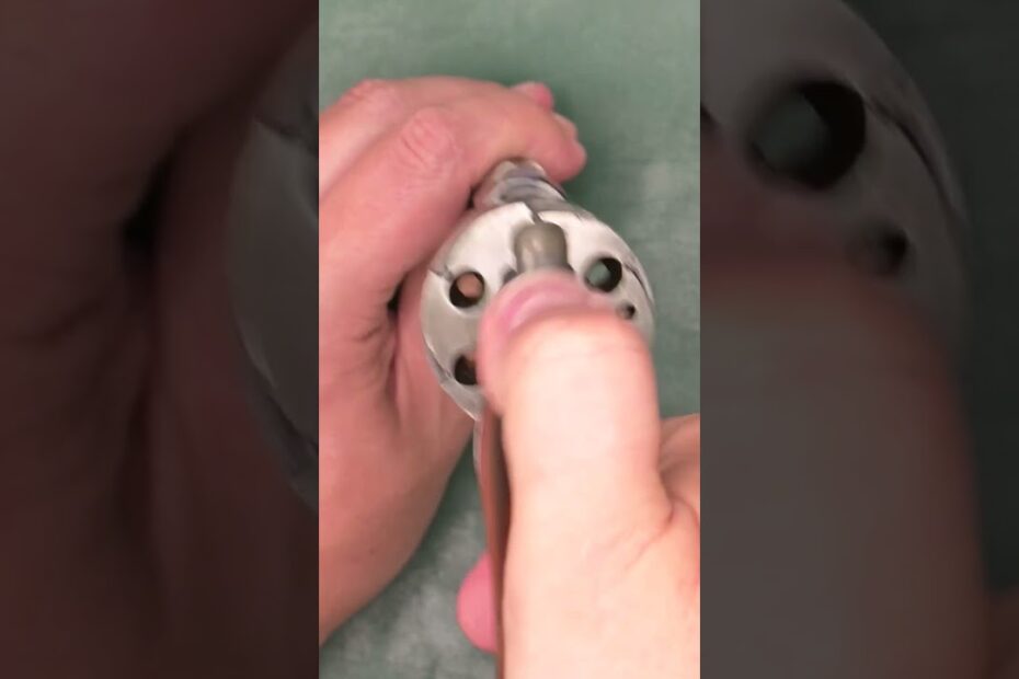 Pidault-Cordier “Raphael” 1860