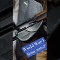 WW1 Semiauto Rifle? The Rare RSC 1918