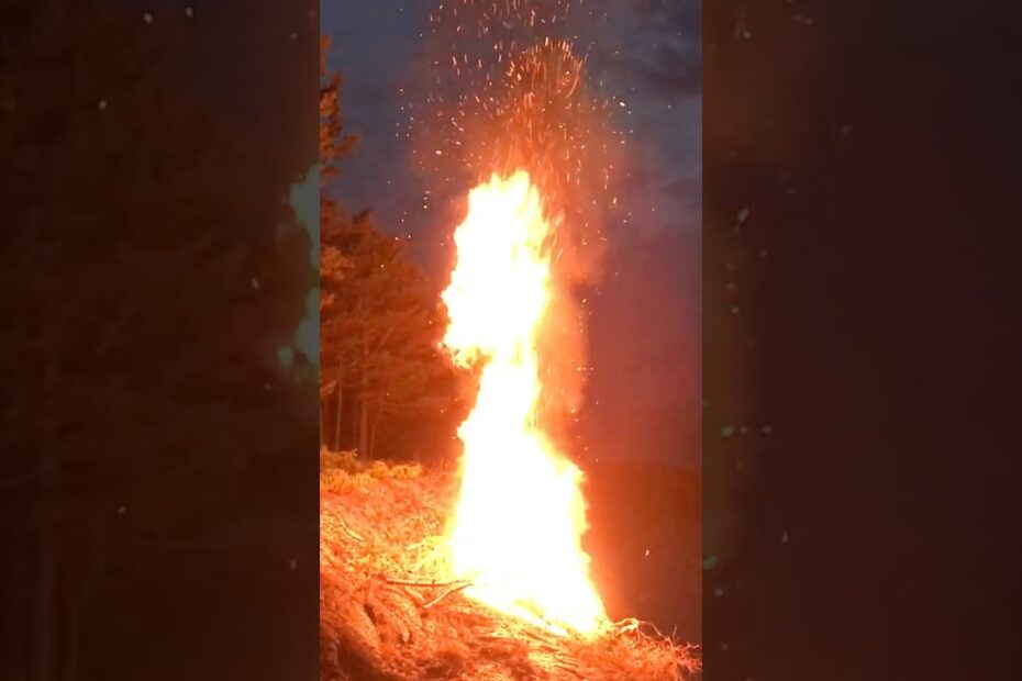 A Book 5 Years in the Making