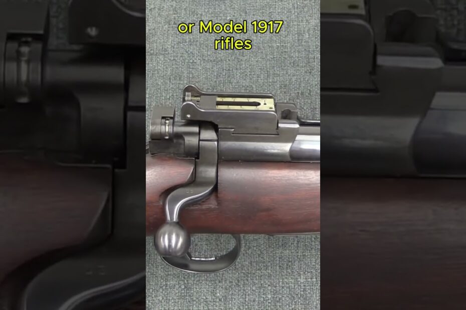 Winchester Model D: The WW1 Origins of the Famous Model 70