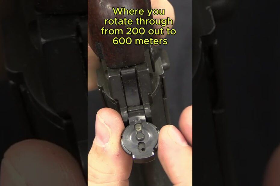 FAL in the North: The Canadian C1A1