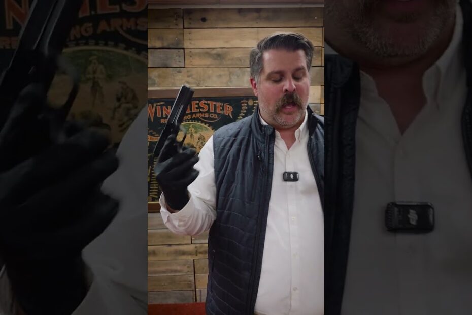 Gorgeous Government Model Colts!