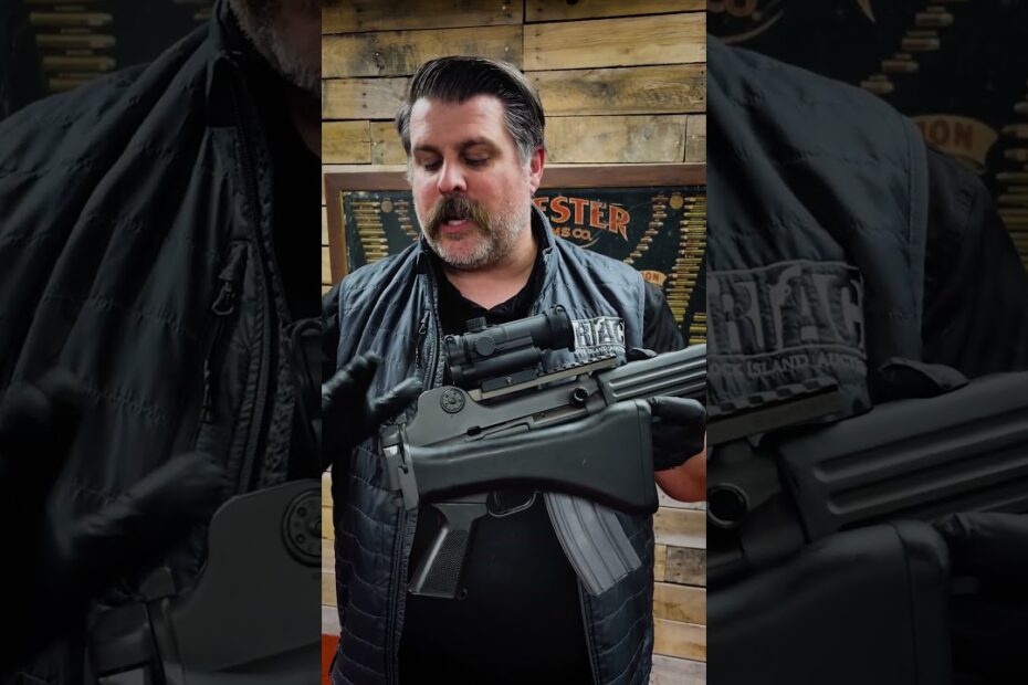 AK or AR? The Daewoo K2 is both