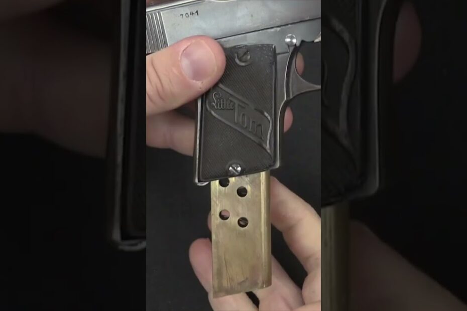 Little Tom: the World’s First DAO Automatic