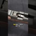 The Bolt-Less Coenders Bolt Action Rifle
