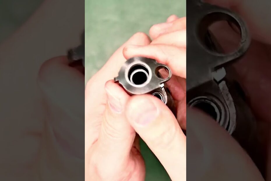 Steyr GB Field Strip