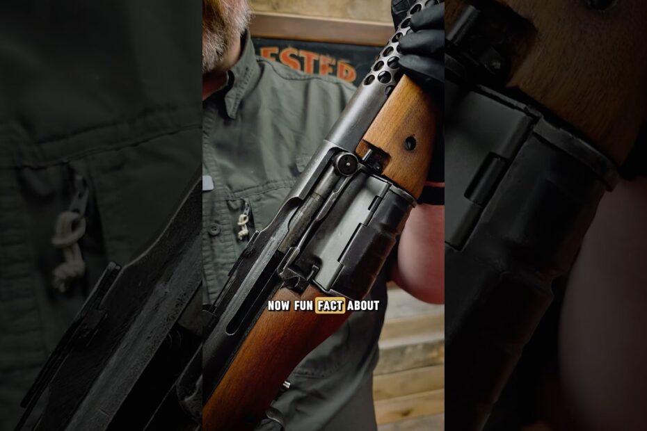 Johnson Rifle: Supplementing the Garand