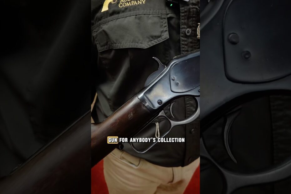 The Gun That Won The West