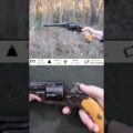 German Reichsrevolver 1879