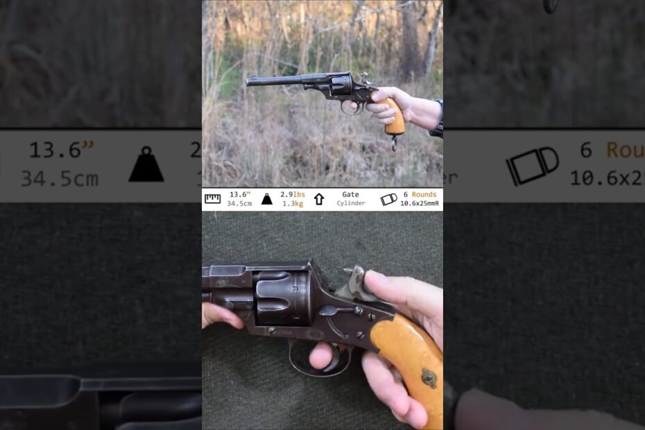 German Reichsrevolver 1879