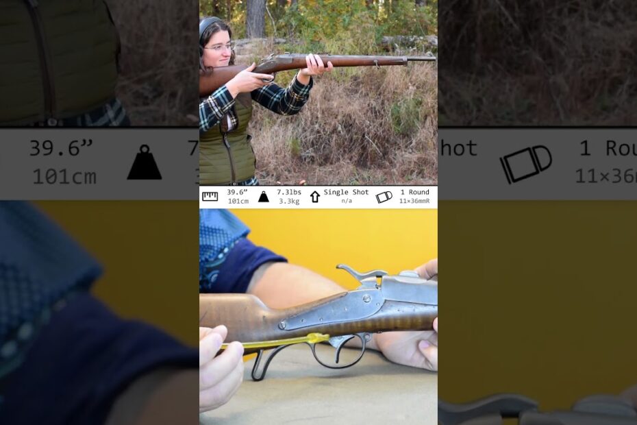 Austro-Hungarian Werndl 1873/77 “Extra Korps”