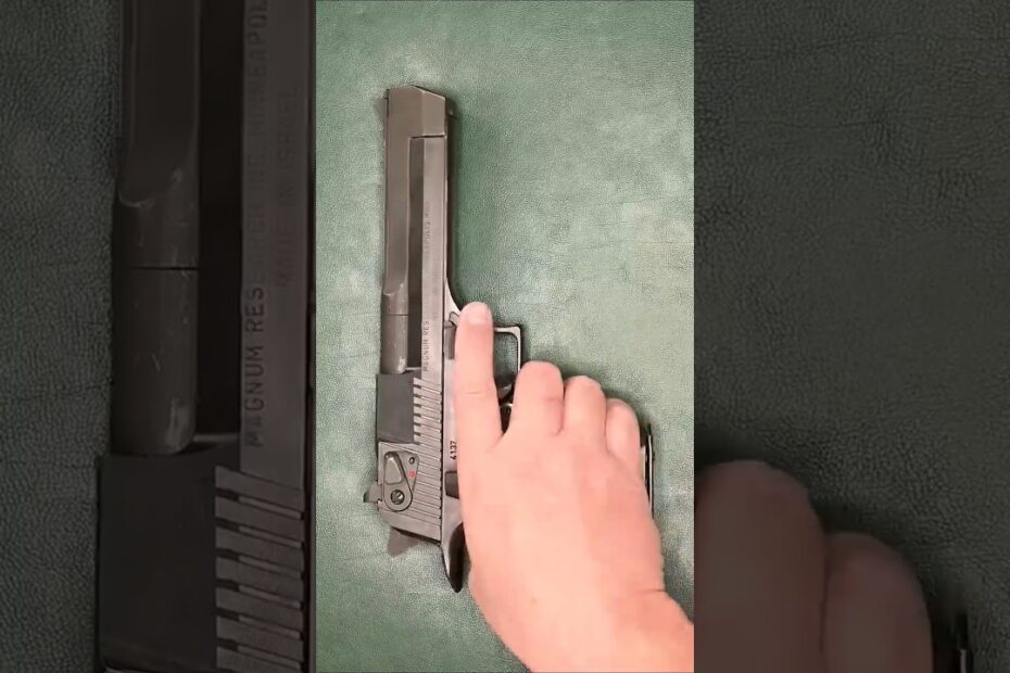 Desert Eagle Fieldstrip