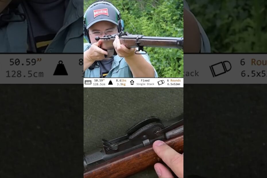 Italian Carcano 1891
