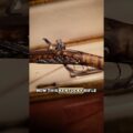 2,000 Hours to Build This Tiny Rifle